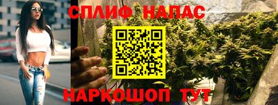 соль ск Будённовск