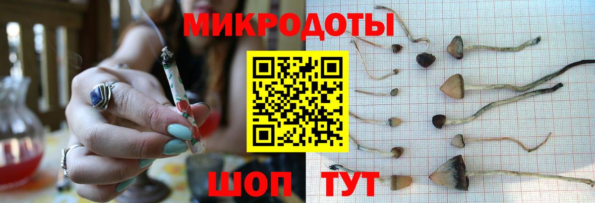 Псилоцибиновые грибы мицелий Урюпинск